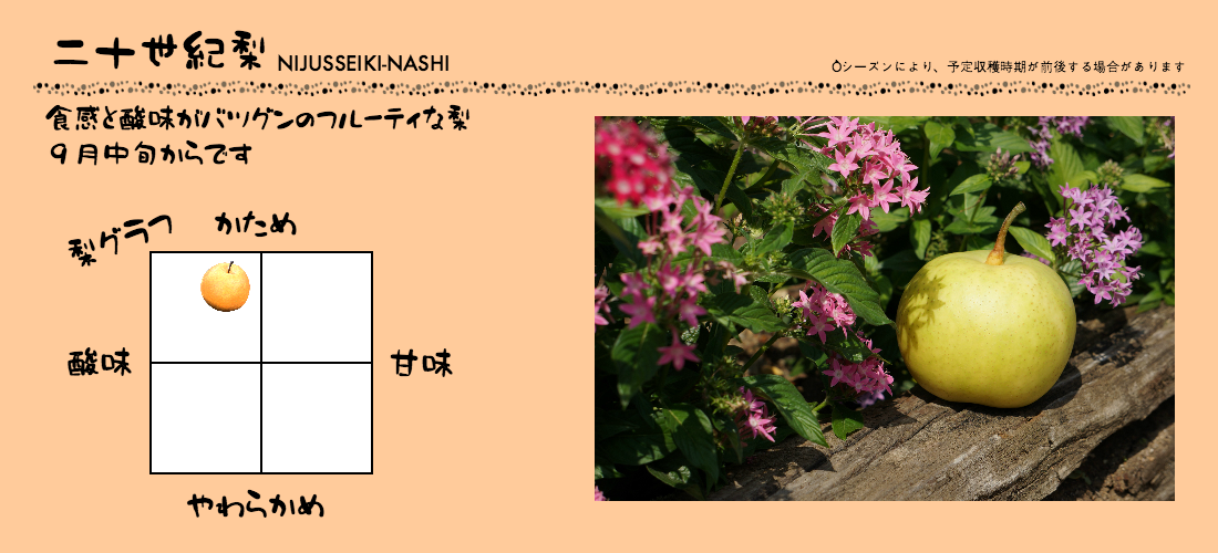 ２０世紀梨のグラフ