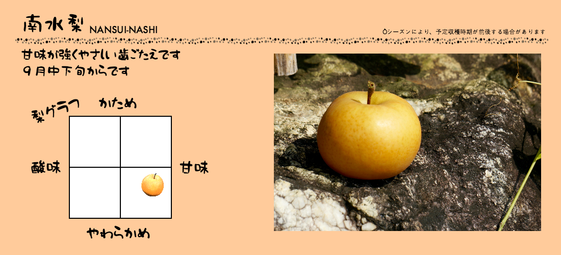 南水梨のグラフ